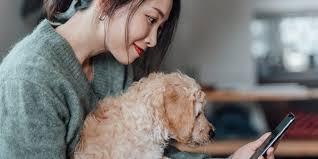 All Videos Bundle