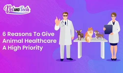 6 Reasons To Give Animal Healthcare A High Priority