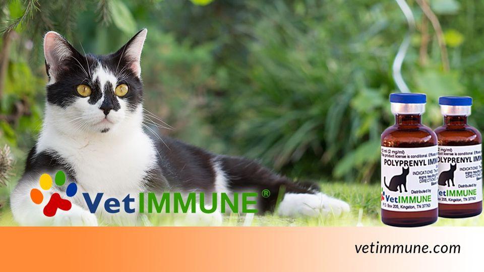 VetImmune