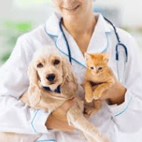 Cat care center